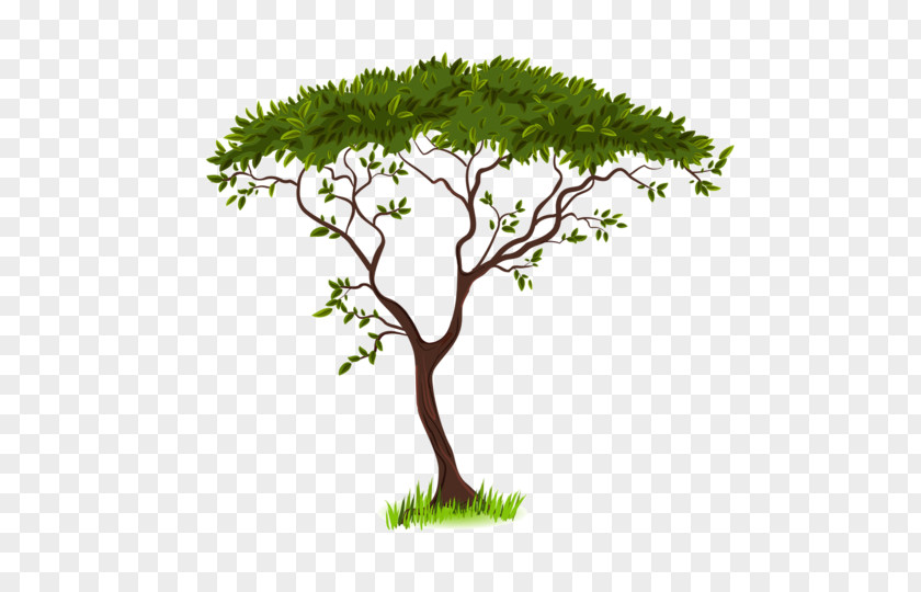 World Tree Savanna Silhouette Clip Art PNG