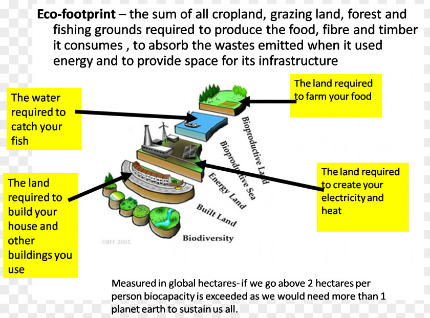 Ecological Footprint Biocapacity Ecology Economics Carrying Capacity PNG