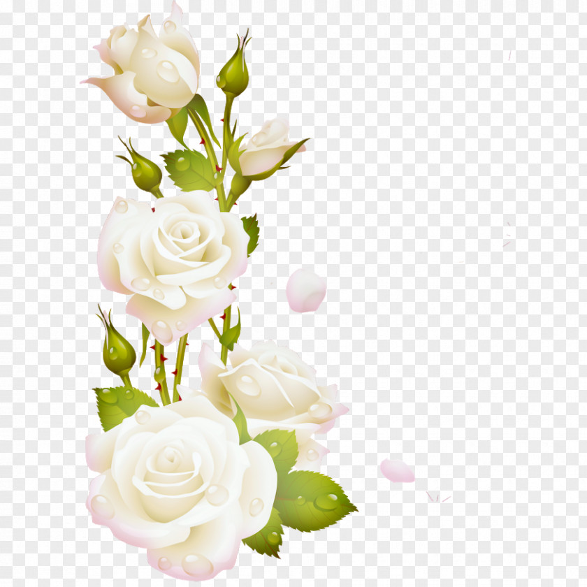 Flores Blancas Garden Roses Borders And Frames Picture Clip Art PNG