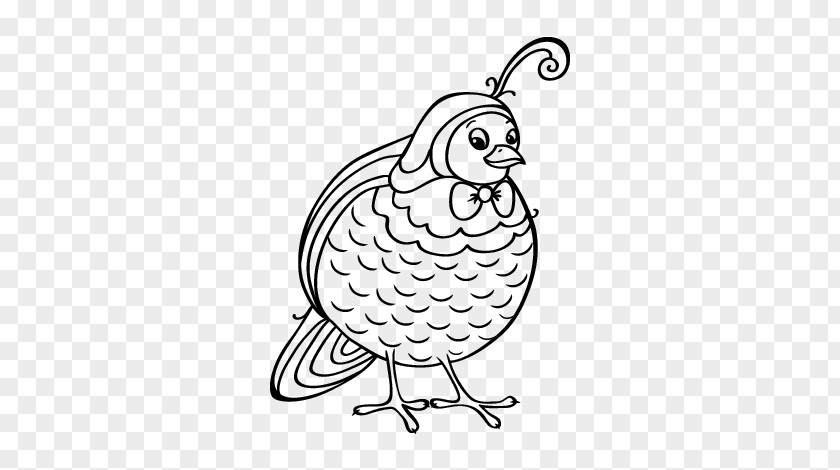 French Horn Coloring Page Bird Drawing Woodpecker Book Painting PNG