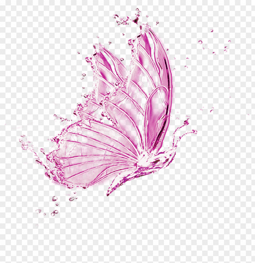 Pink Fresh Water Butterfly Effect Element World Day Software Icon PNG