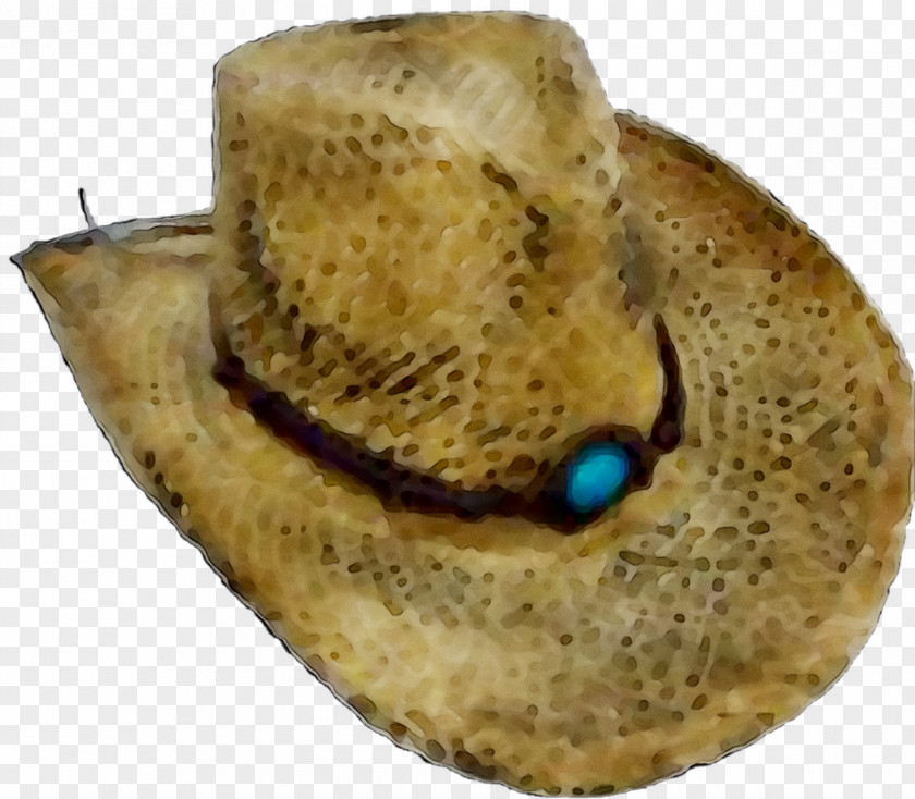 Straw Beach Hats Dress Scarf Cowboy Hat PNG