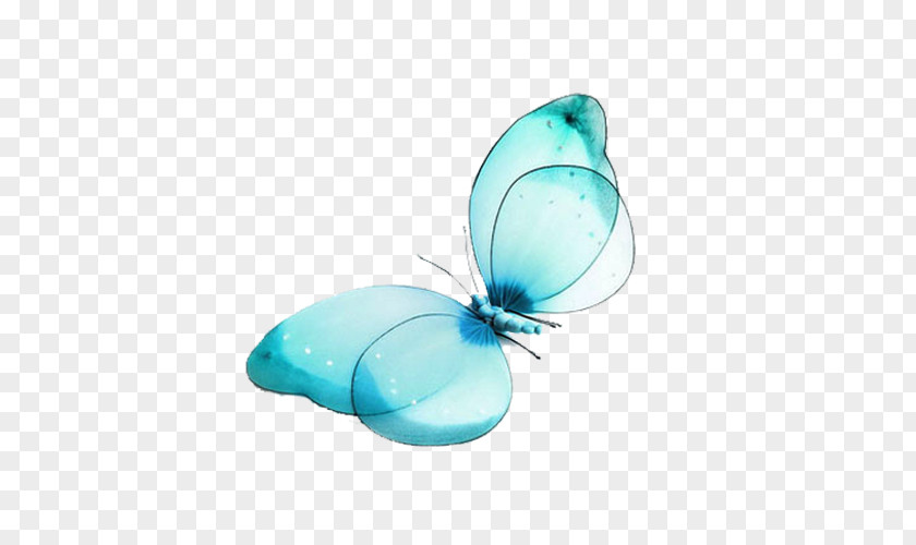 Blue Butterfly High-definition Television Wallpaper PNG