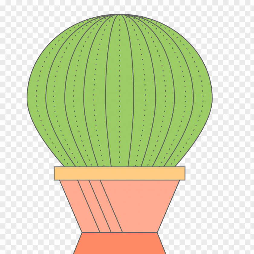 Cactus Vector Cactaceae Plant Euclidean PNG