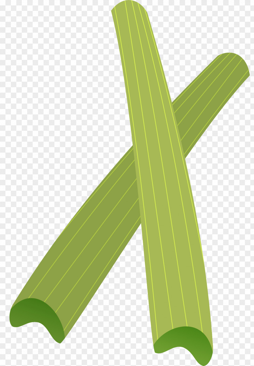 Celery Wood /m/083vt Angle PNG