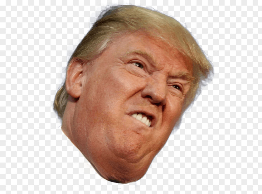 Donald Trump Presidency Of United States Funny Face PNG