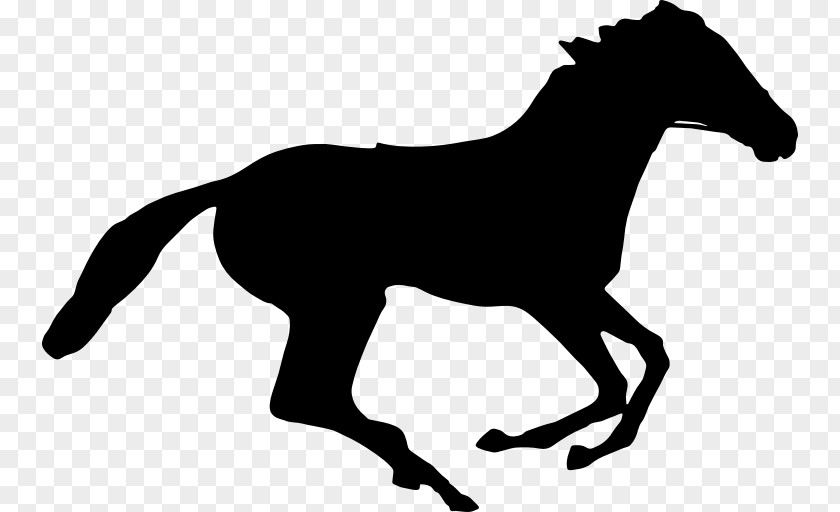 Horse Clip Art PNG