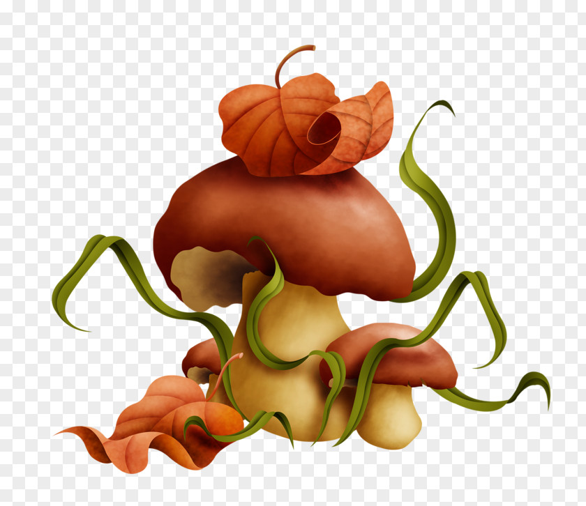 Mushroom Fungus Elf Clip Art PNG