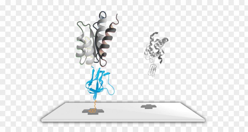 Technology Sengenics Corporation Protein Microarray Proteomics PNG