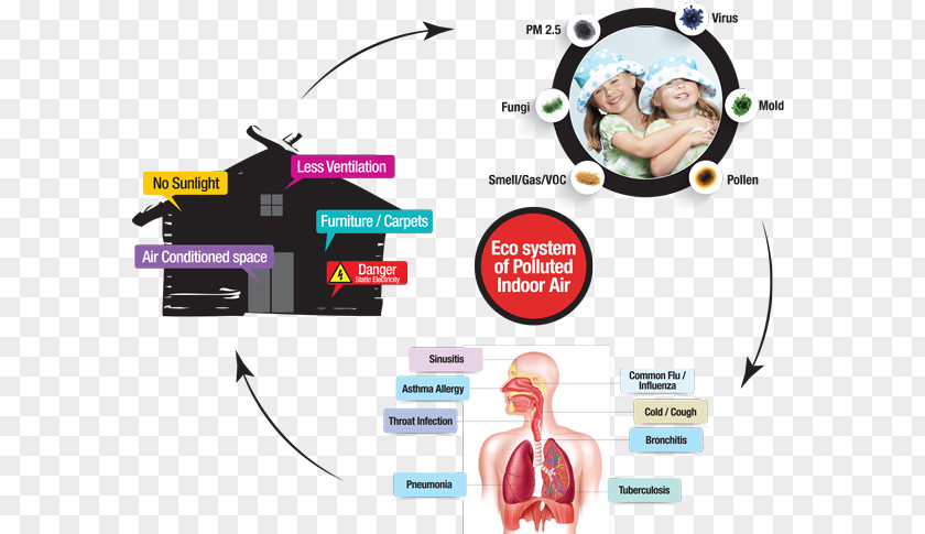 Building Sick Syndrome Indoor Air Quality Home PNG