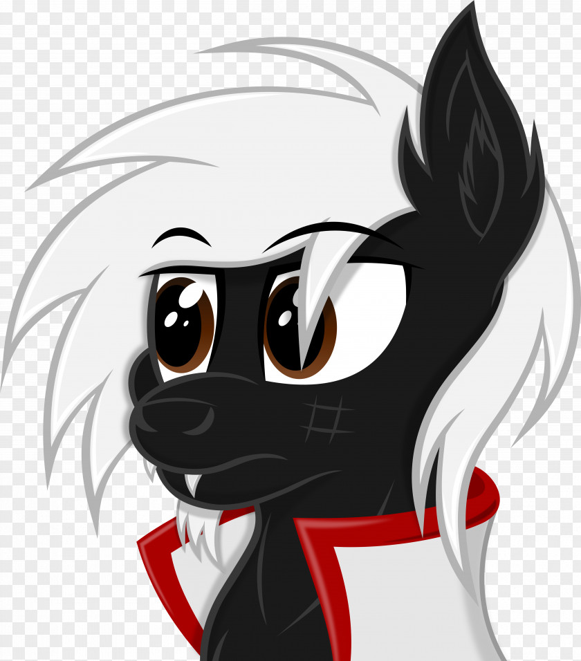 Dog Whiskers Cat Horse Pony PNG