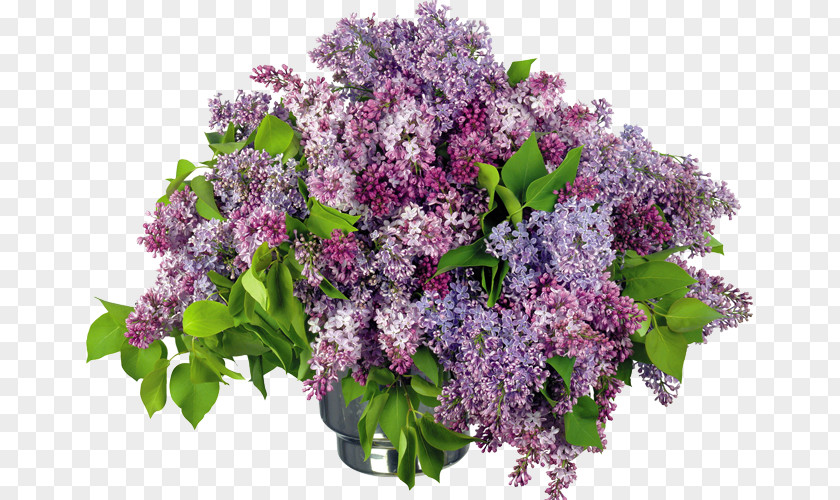 Flower Bouquet Lilac Desktop Wallpaper PNG