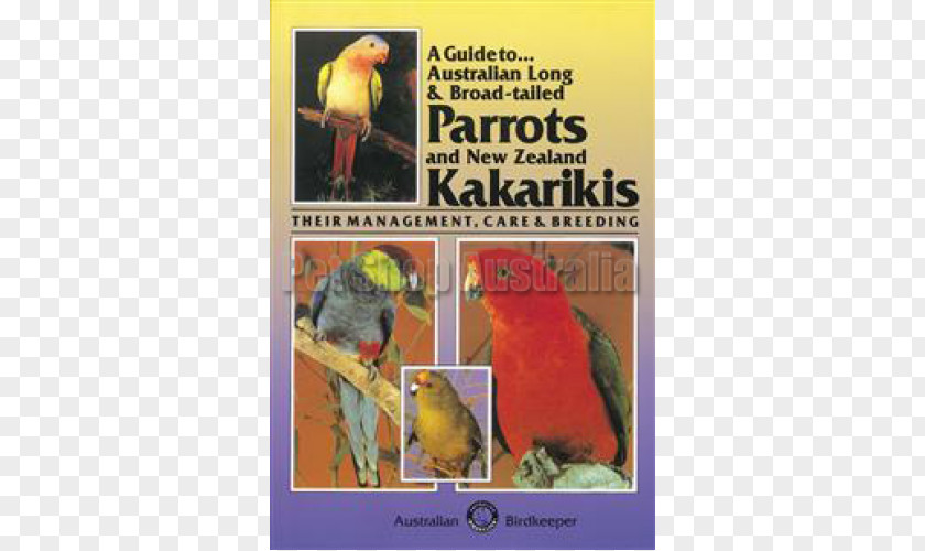 Parrot Lovebird Parakeet Cockatiel Kākāriki PNG