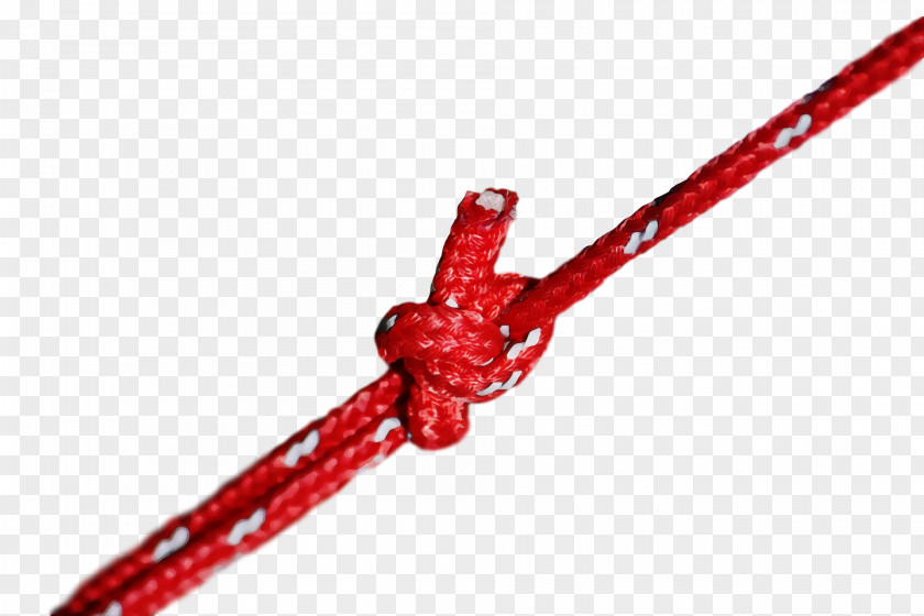 Rope Knot Line Geometry Mathematics PNG