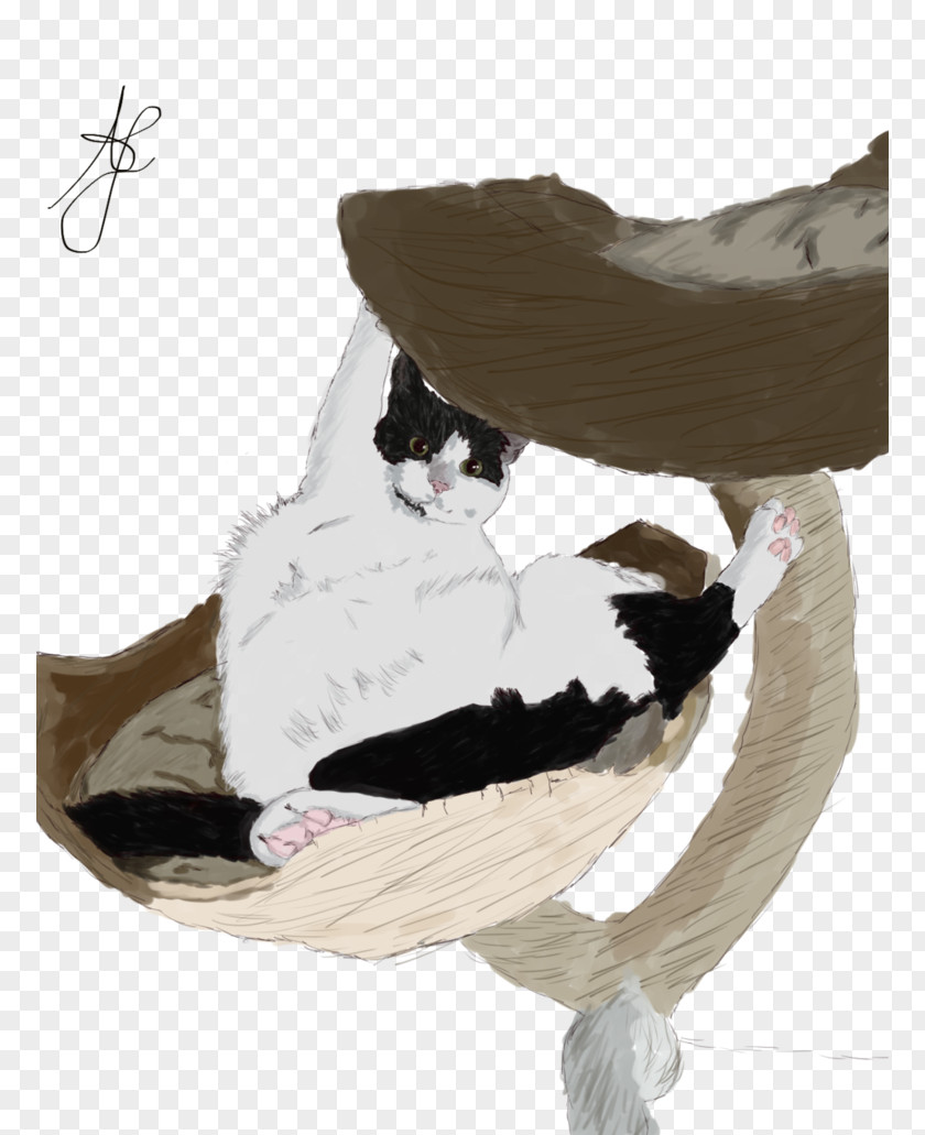 Scratch Cat Shoe PNG