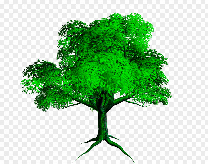 Tree Desktop Wallpaper Download Clip Art PNG