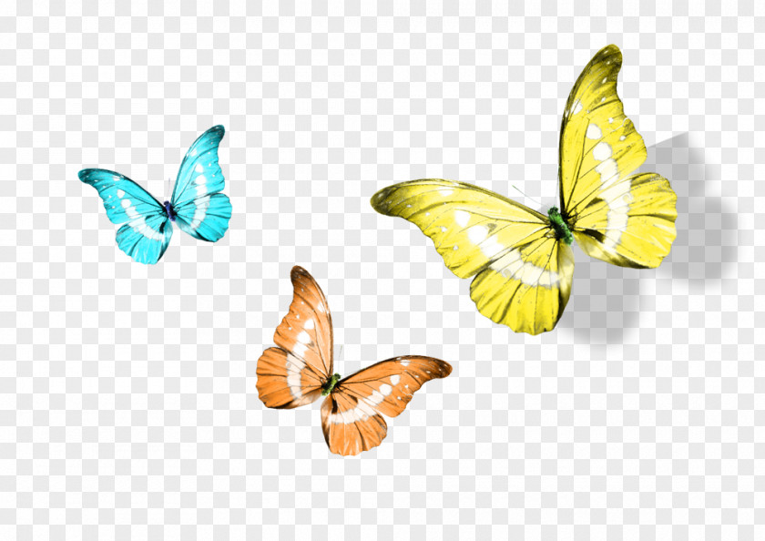 Cartoon Butterfly Monarch Yellow PNG