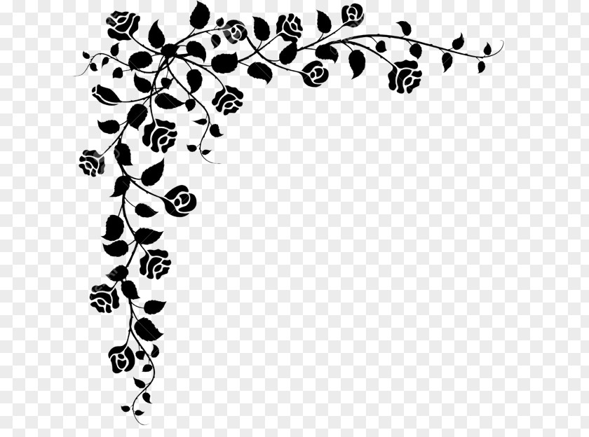 Design Floral Black And White Drawing Clip Art PNG