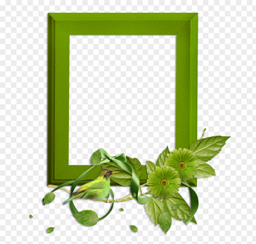 Green Frame Picture Clip Art PNG
