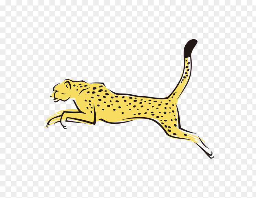 Leopard Cheetah Tiger Felidae PNG