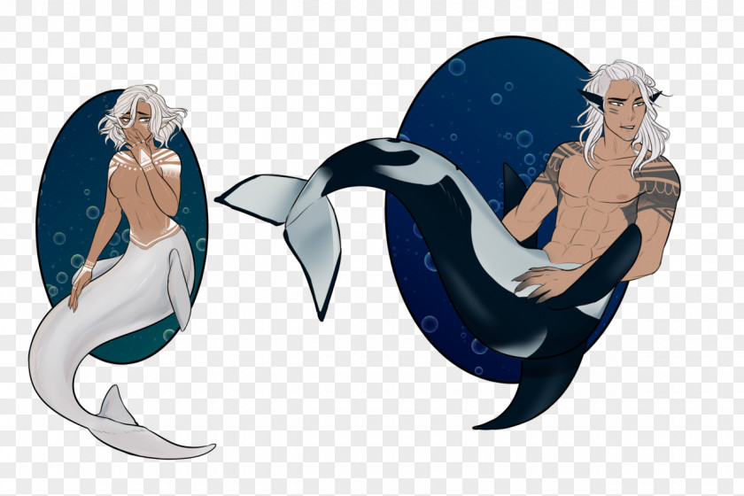 Mermaid Porpoise Cartoon Child PNG