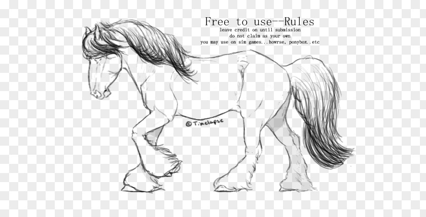 Mustang Mane Pony Stallion Howrse PNG