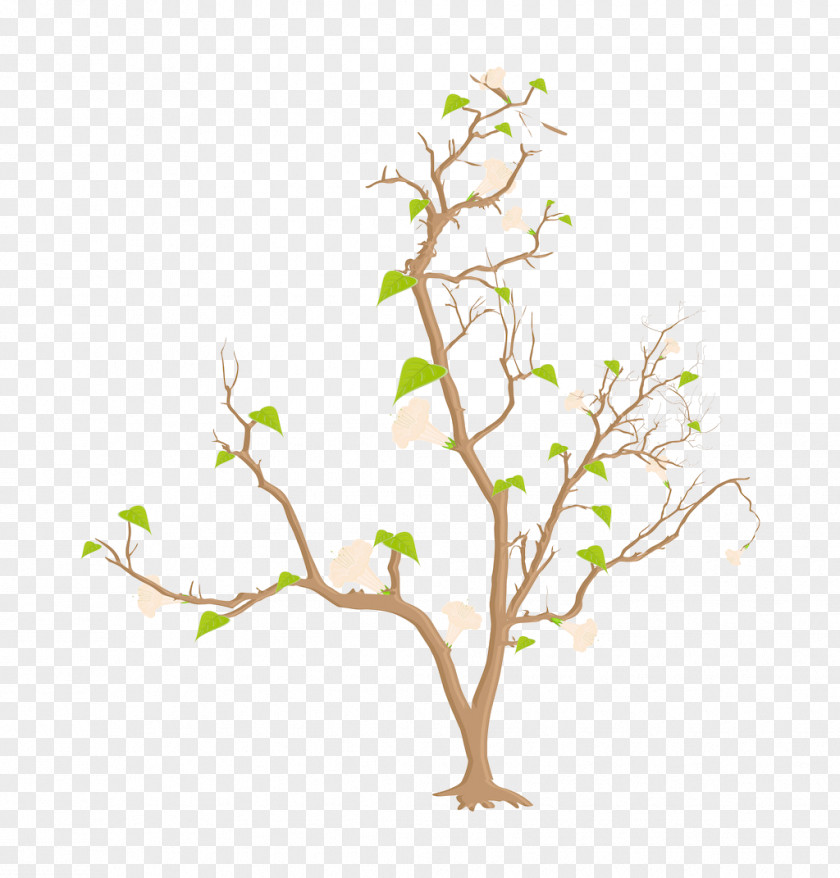 Tree Silhouette Branch Illustration PNG