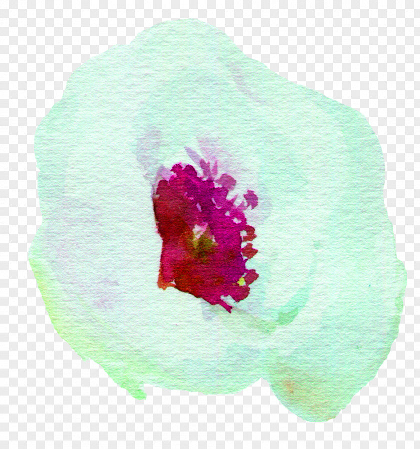 White Watercolor Flower Painting Petal PNG
