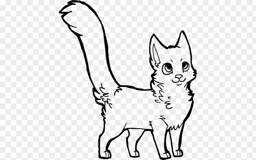 Cat Line Art Drawing Kitten Clip PNG