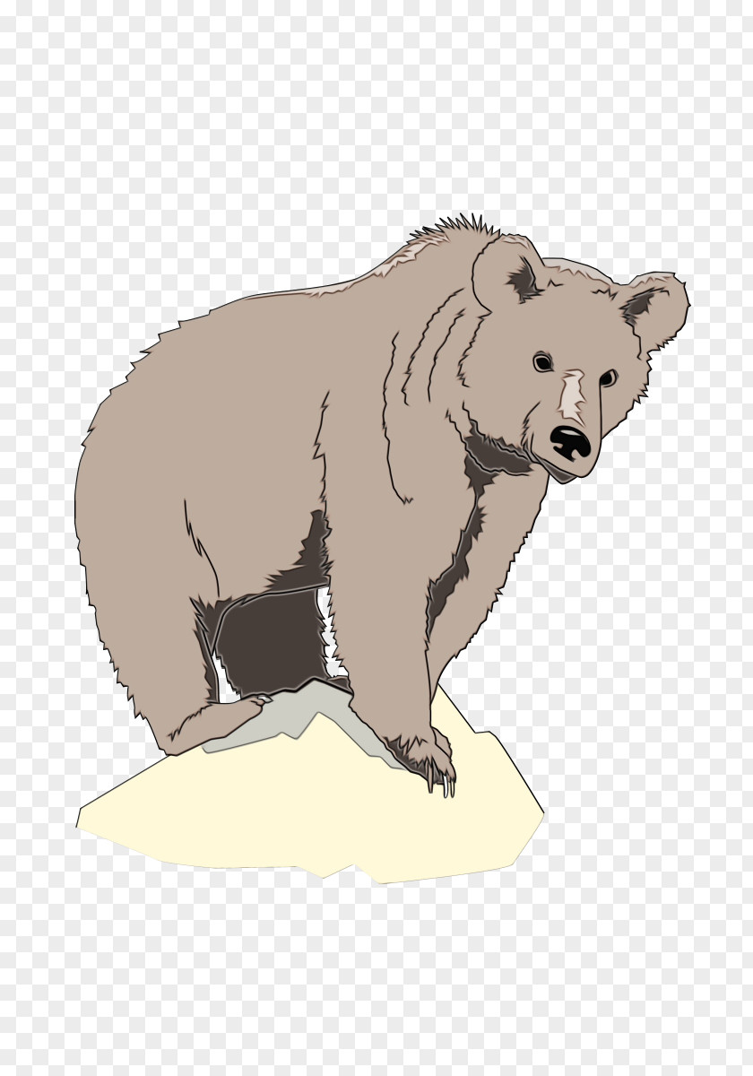 Drawing Animal Figure Bear Cartoon PNG