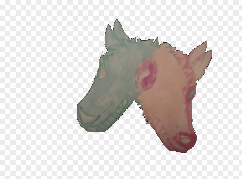 Wolf Shadow Snout PNG