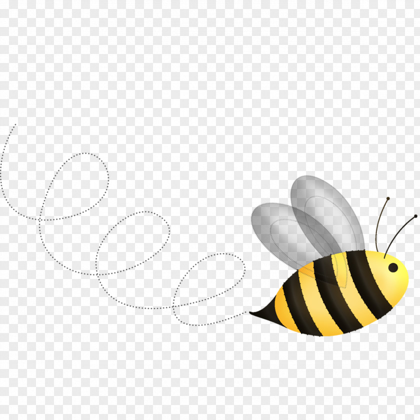 Bee Honey Insect PNG