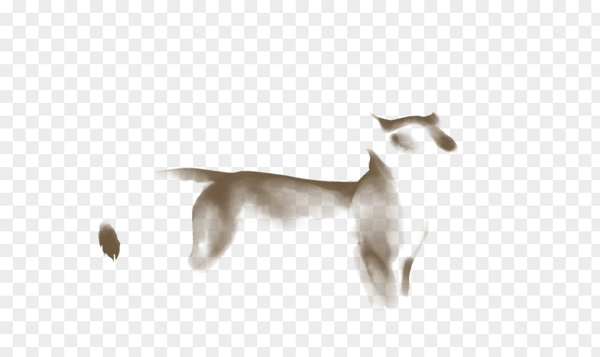 Cat Canidae Dog Fauna Tail PNG