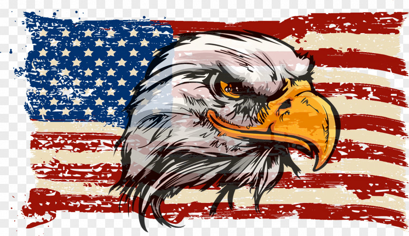 Falconiformes Vulture Fourth Of July Background PNG