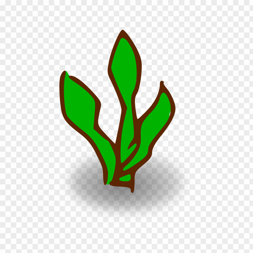 Forest Kelp Seaweed Clip Art PNG