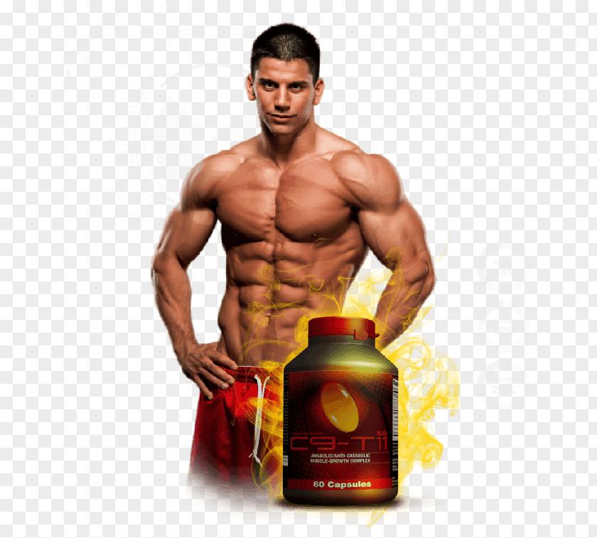 Muscle Man Bodybuilding Supplement Sports Training Physical Fitness Vascularity PNG