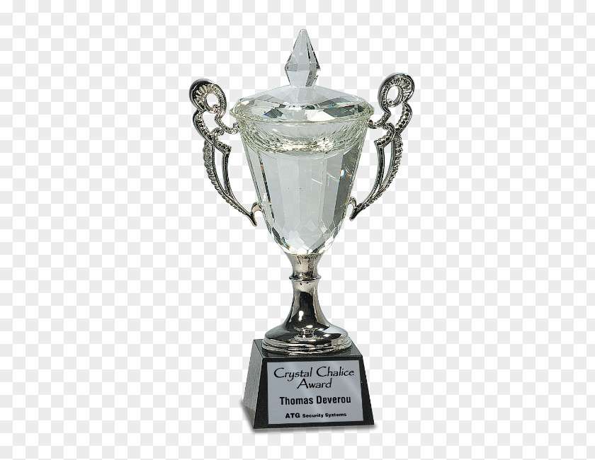 Silver Cup Trophy Award Commemorative Plaque Engraving PNG