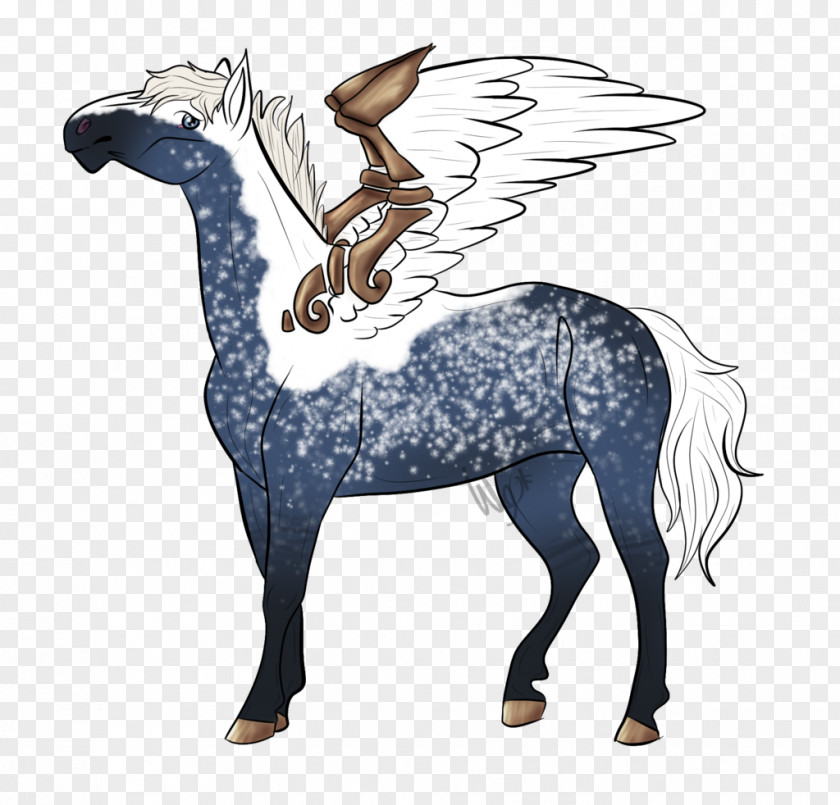Star Cloud Mustang Stallion Halter Pony Illustration PNG