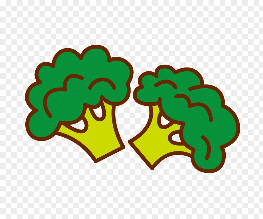 Vector Green Food Cauliflower Euclidean Illustration PNG