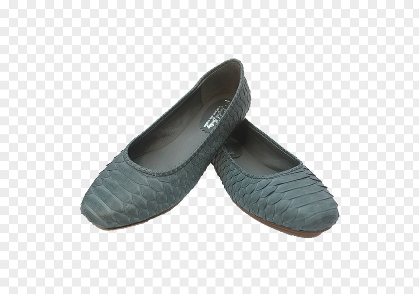 Ballet Flat Shoe PNG