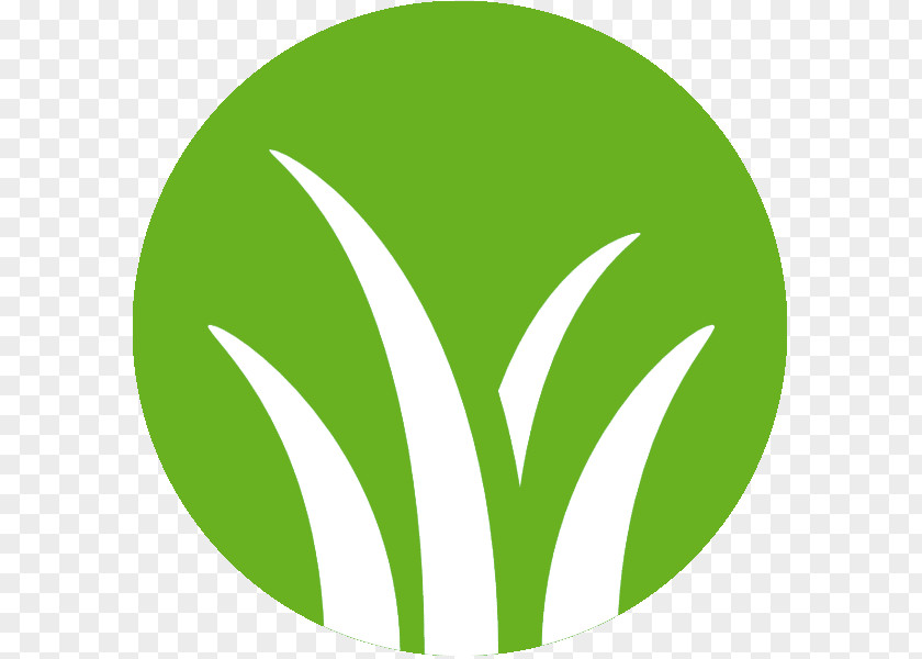 Corporate Social Responsibility Sustainable Development Logo Enjeu PNG