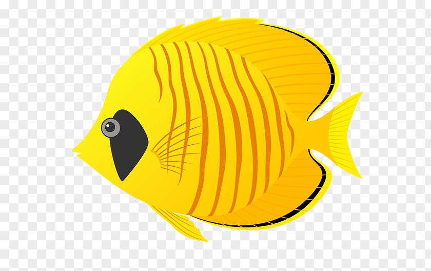 Fish Angelfish Tropical Tea Clip Art PNG