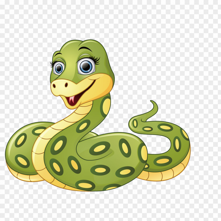 Green Snake Cartoon Anaconda PNG