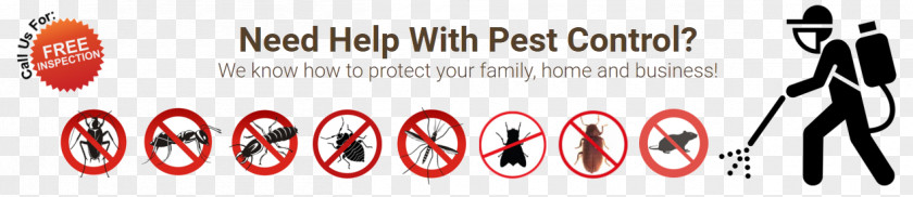Pest Control Services In AhmedabadMosquito Rex -Pest Services,Termite India Mosquito REX PNG