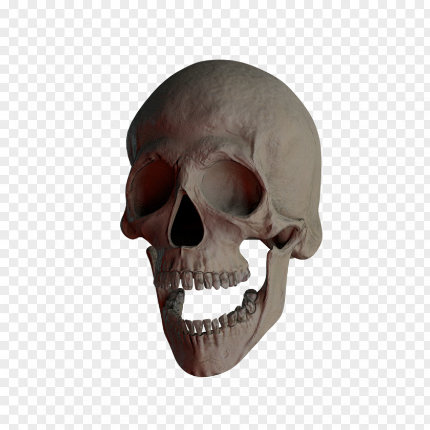 Skull And Crossbones Totenkopf 髑髏 PNG