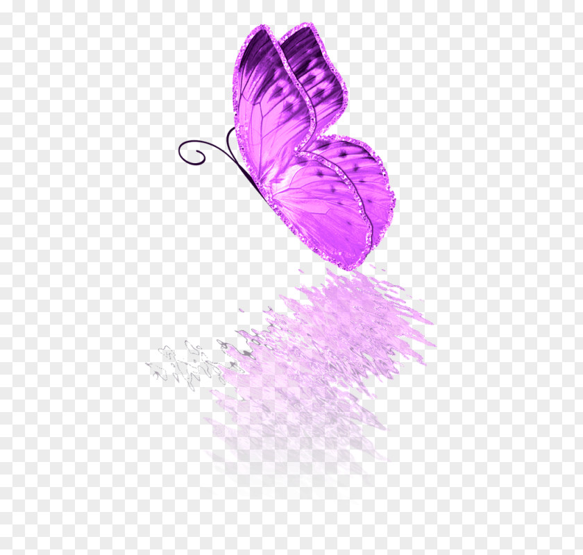 Butterfly 2M PNG