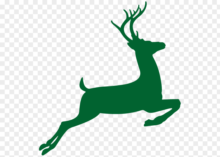Deer White-tailed Drawing Clip Art PNG