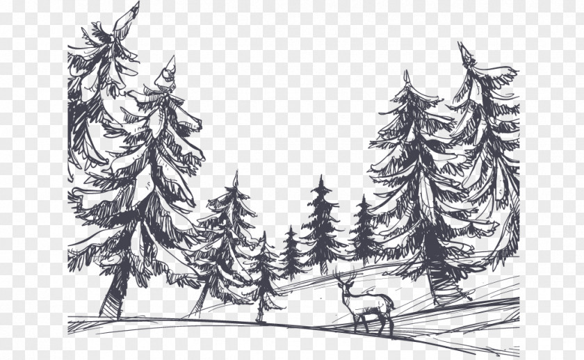 Hand Drawn Sketch Winter Forest Drawing Shulin District PNG