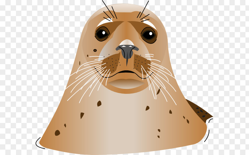 Seal Sea Lion Clip Art PNG
