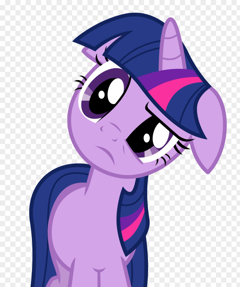 Selfie Vector Twilight Sparkle Pinkie Pie Rarity Fluttershy Applejack PNG